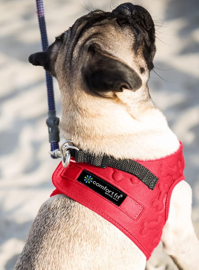 Comfort Fit No Pull Step-in Dog Harness – XS Harness for Small Medium Dogs, Easy Walk Adjustable Vest for Puppy or Service Dog – Soft Padded, Lightweight – Red