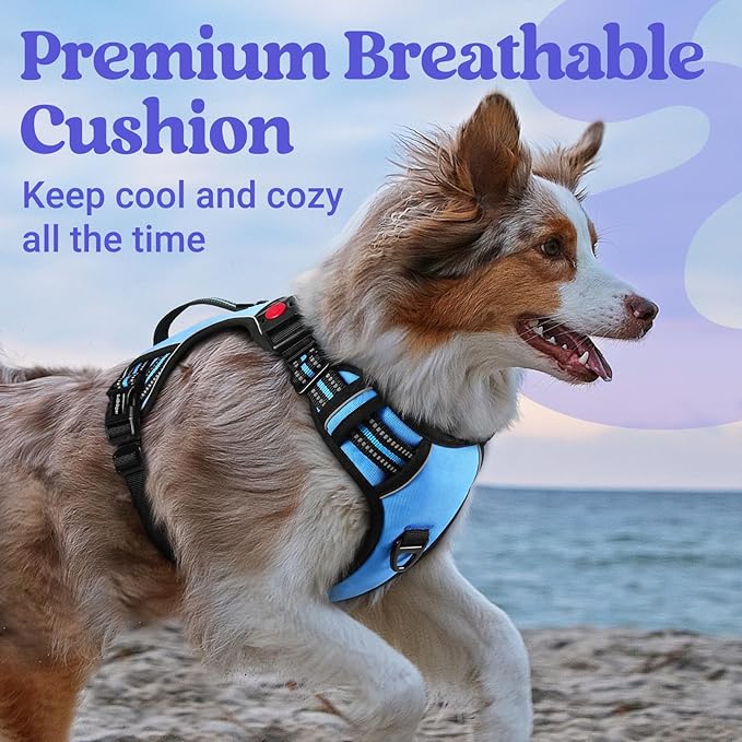 rabbitgoo Dog Harness for Large Dogs, No Pull Pet Harness with Soft Padded Handle, Adjustable Reflective Vest with 3 Buckles, Easy Walking Harness with 2 Leash Clips, Light Blue, L
