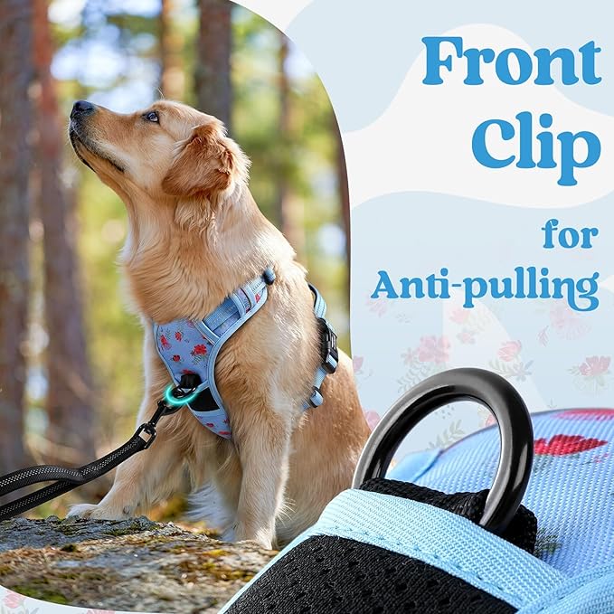 rabbitgoo Dog Harness for Large, No Pull Pet Harness with 3 Buckles, Adjustable Soft Padded Vest with Control Handle, Walking Reflective Pet Vest for Extra Large Dogs, Floral Blue, XL
