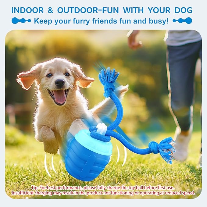 Interactive Dog Toys, [2025 Newly Upgraded] Interactive Dog Ball for Small Dogs, Automatic Moving Dogs Toy Wicked Ball for Boredom & Training, Play Music, USB Rechargeable(Blue)