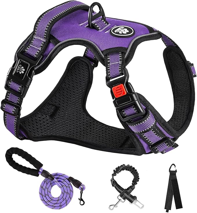 NESTROAD No Pull Dog Harness,Adjustable Oxford Dog Vest Harness with Leash,Reflective No-Choke Pet Harness with Easy Control Soft Handle for Small Medium Dogs(Medium,Purple)