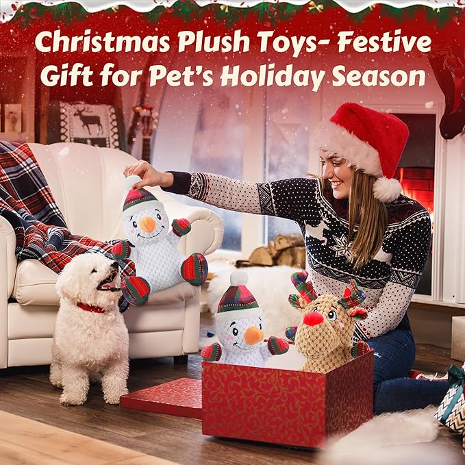 Squeaky Dog Toys, 2 Pack Dog Chew Toys with Crinkle Paper for Puppy, Small, Medium, Large Dogs, Interactive Pet Holiday Toys for Training and Reducing Boredom