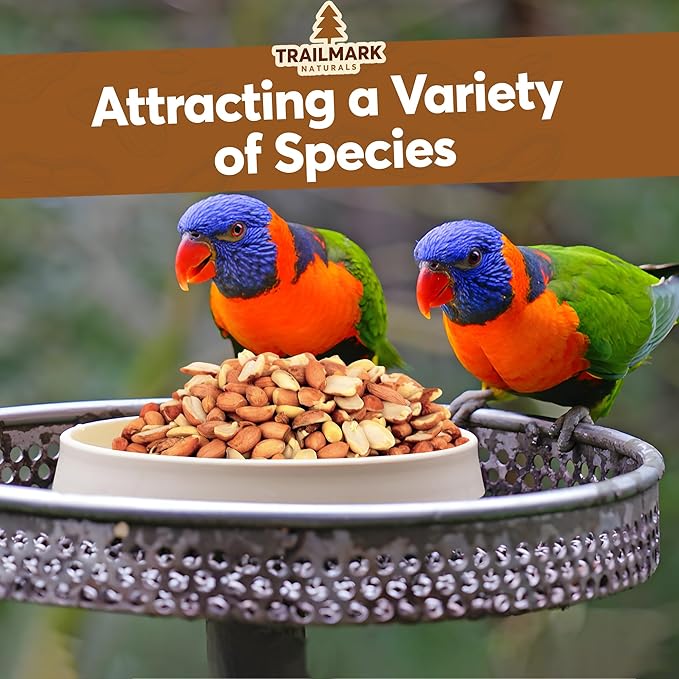 45 LB - Raw Shelled Peanuts For Squirrels, Out of Shell Peanuts For Birds and Wildlife- Squirrel Food, Wild Bird Seed - Grown in The USA