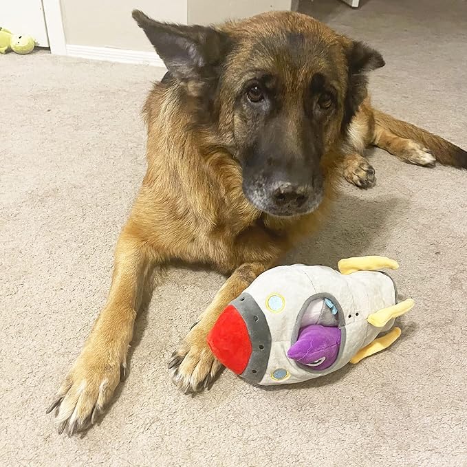 Jalousie Multipack Dog Squeaky Toys Strong Almost Indestructible, with Added Liner for Longer Play Dog Chew Toys (6 Pack Spaceship Hide and Seek)