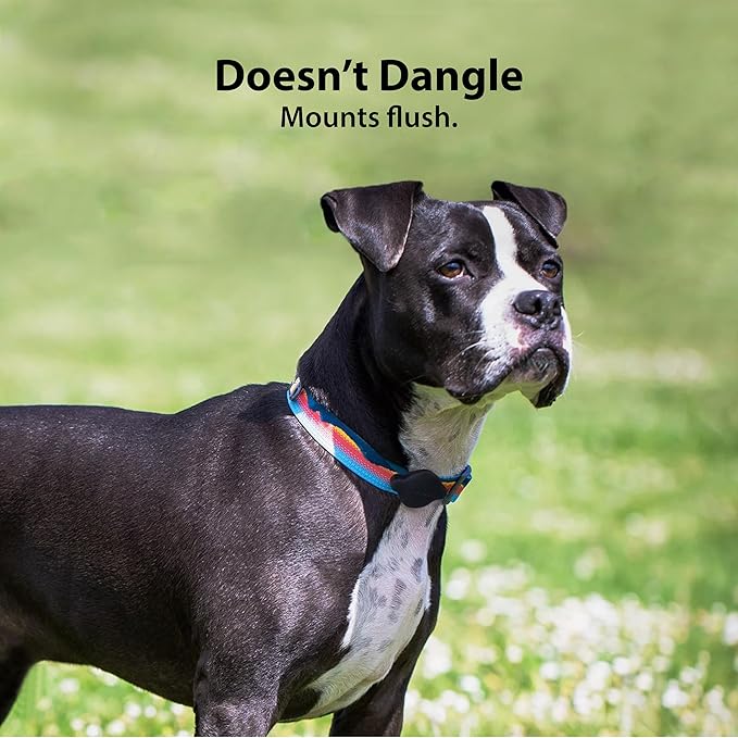 Elevation Lab TagVault™ Compact AirTag Dog Collar Mount - IP68 Waterproof, Doesn't Dangle, Fits All Width Collars