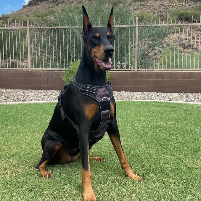 4Knines No Pull Dog Harness for XL Dogs – Adjustable Reflective Harness with Front & Back Leash Clips – Padded for Comfort – Durable, Easy Control for Walks & Training (Camo)