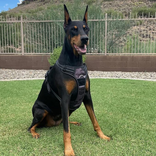 4Knines No Pull Dog Harness for Medium Dogs – Adjustable Reflective Harness with Front & Back Leash Clips – Durable, Easy Control for Walks & Training (Camo)