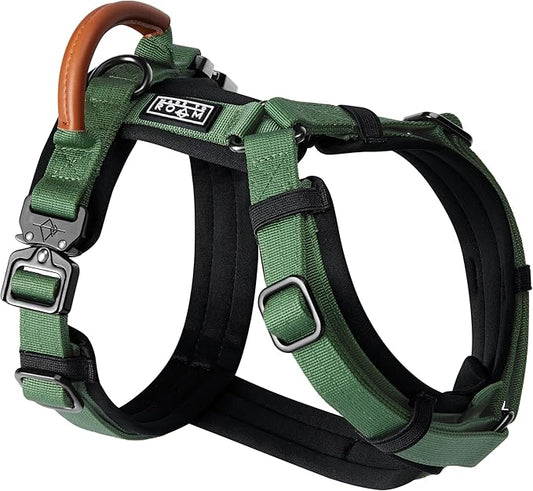 MADE TO ROAM Premium Explorer Harness - Y-Shaped Dog Harness with Adjustable Durable Nylon, Soft Padding, Metal Buckles and Leather Handle for Small, Medium, Large Dogs (Oregon Haze, Size 7)