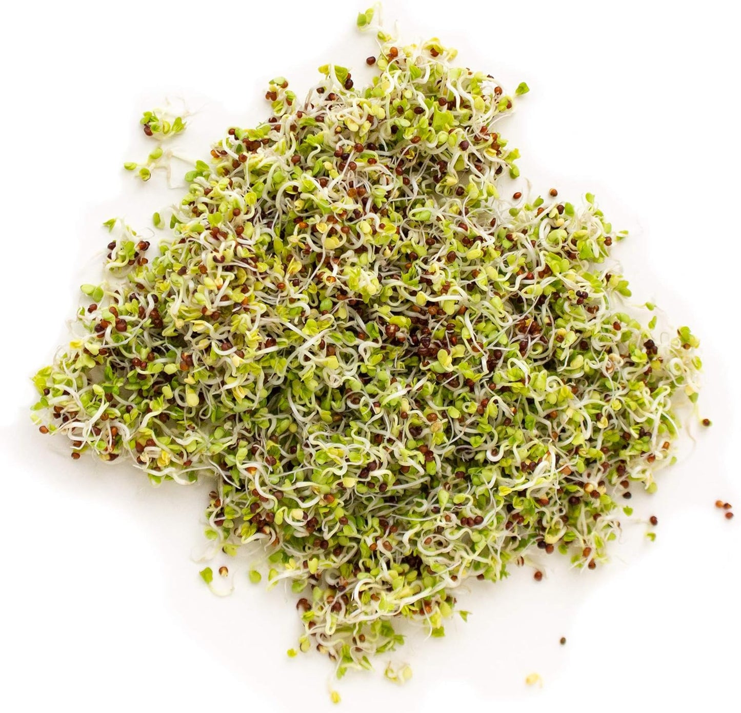 Handy Pantry Organic Birdseed - 1 Lb - Sprouting Bird Seed Mix for Small, Medium & Large Birds- Feed for Songbirds, Parakeets, Parrots, etc