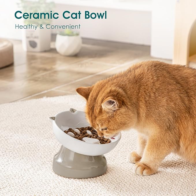 vancasso Ceramic Elevated Slow Feeder Cat Bowls,Slow Feeder Elevated Cat Bowl Wet Food, Raised Cats Bowl for Indoor Cats (Grey)