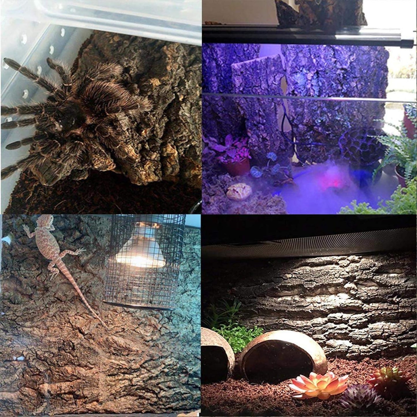 4PCS Cork Terrarium Background 15.7x11.8in Natural Cork Large Bark Climbing Mat Habitat Decoration Chameleons, Lizards, Turtles Glass Jar Decoration