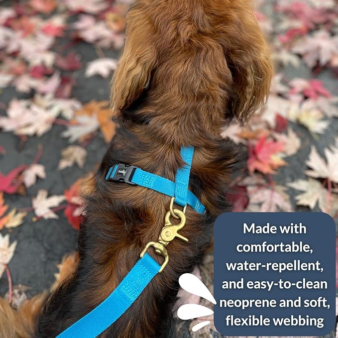 DJANGO Adventure Dog Harness - Stylish & Durable Large Dog Harness for Outdoor Adventures and Everyday Wear - Pacific Blue Neoprene Adjustable Harness for Dogs with Reflective Piping, Brass D-Ring