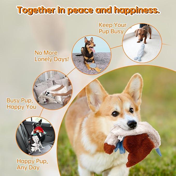 Nocciola Squeaky Dog Toys, 5 pcs Crinkle Plush Dog Toy, No Stuffing Dog Toys for Small Medium Large Dogs, Boredom Relief