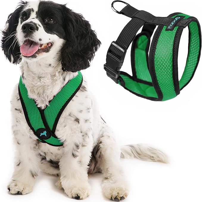 Gooby Comfort X Head In Harness - Hunter Green, X-Large - No Pull Small Dog Harness Patented Choke-Free X Frame - On the Go Dog Harness for Medium Dogs No Pull or Small Dogs for Indoor and Outdoor Use