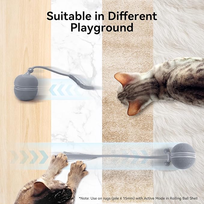 Cheerble Interactive Cat Toys for Indoor Cats - Wicked Ball Duo 2 Automatic Cat Toy with Dual Interchangeable Shells, Electronic Pet Toy with Bird Chirping Sounds, Rolling Cat Toy for Kittens, Blue