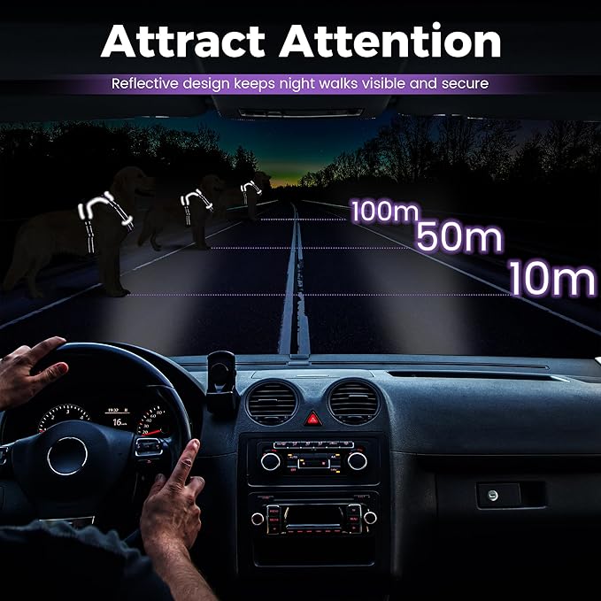 Funfox Dog Harness No Pull, Adjustable Pet Vest Harness Purple S with Handle, 2 Leash Clips for Daily Walking Easy Control, Soft Durable Reflective Comfortable for Small Sized Dogs