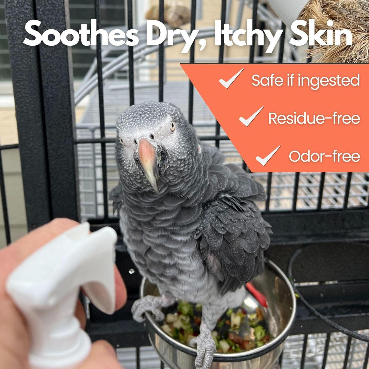 Aloe Vera Bird Spray for All Birds – Soothes Itchy Skin & Feather Plucking – 8oz Odor-Free Mist – Safe if Ingested, Daily Use – Softens Feathers – Natural Formula – Made in USA by UnRuffledRx™