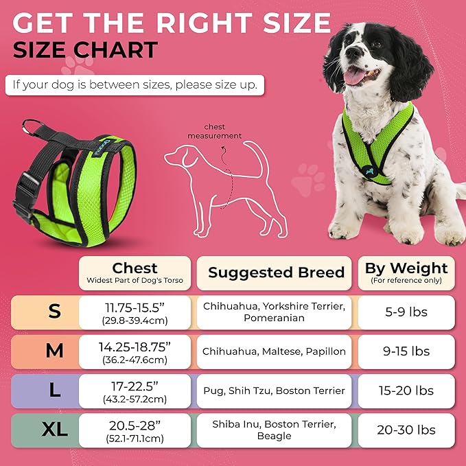 Gooby Comfort X Head In Harness - Green, X-Large - No Pull Small Dog Harness, Patented Choke-Free X Frame - Perfect on the Go Dog Harness for Medium Dogs No Pull, Small Dogs for Indoor and Outdoor Use