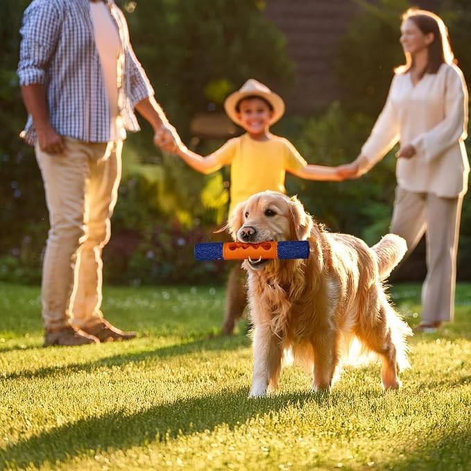 Stick Interactive Dog Toy 9” in Outdoor Dog Toy for Aggressive Chewers Tough Natural Rubber Chew Toys (Blue&Red)