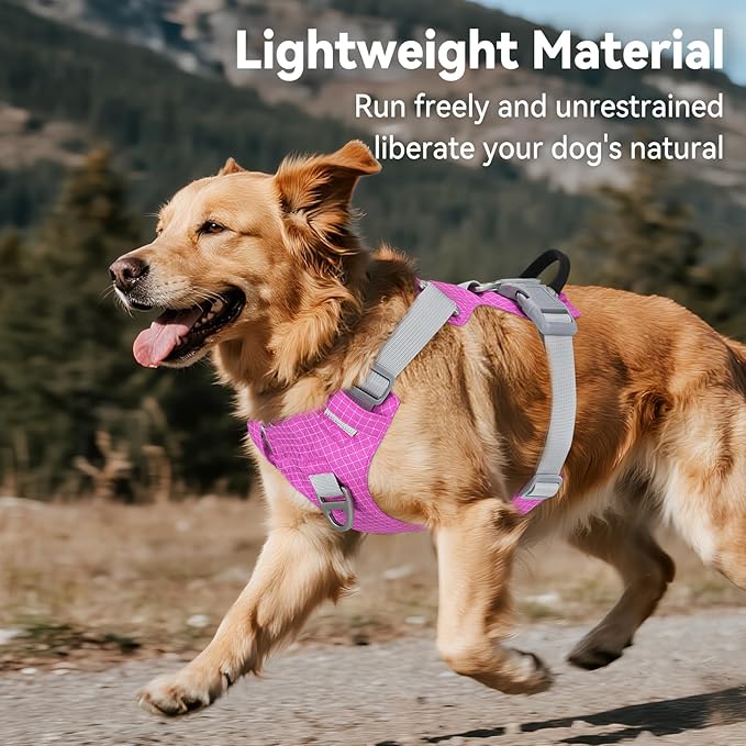 Joytale Lightweight Light Up Dog Harness, Rechargeable No-Pull LED Dog Harness with Detachable Light Box, Airtag Holder, Adjustable for Night Walking, Running & Everyday Use, Hotpink, XL