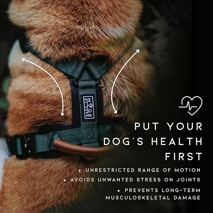 MADE TO ROAM Premium Explorer Harness - Y-Shaped Dog Harness with Adjustable Durable Nylon, Soft Padding, Metal Buckles and Leather Handle for Small, Medium, Large Dogs (Washington Rain, Size 2)