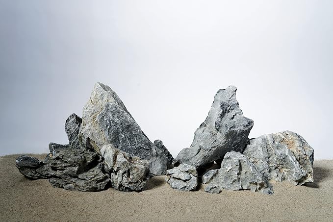 LANDEN Seiryu Stones Natural Rocks for Aquarium, Paludarium, Terrariums, Landscaping Rocks, Aquascaping, 80L (36lbs) 3-11in, Seiryu Stones(3-11inch,36lbs)