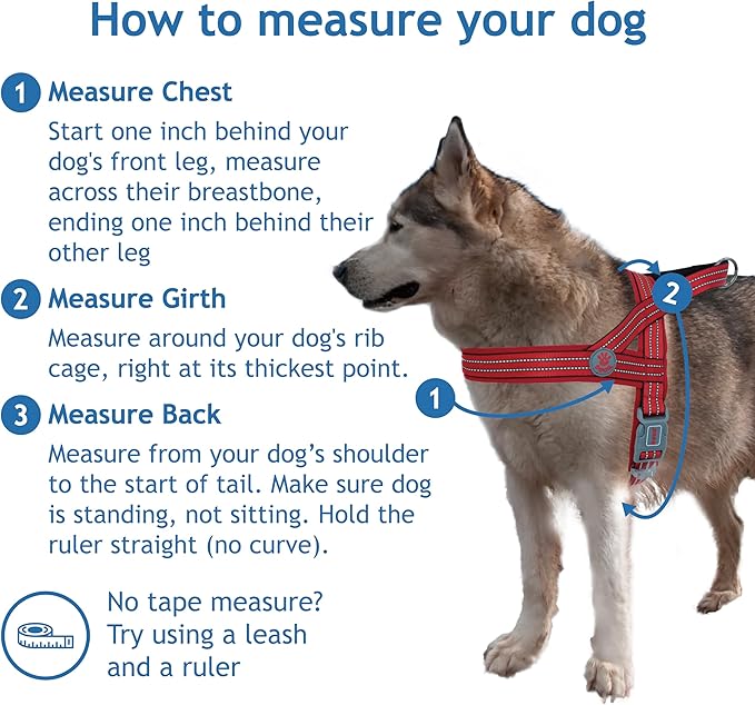 DOCO No-Pull Dog Harness Halter Reflective Easy-Control Harness for Training, Walking, and Preventing Pulling, Ideal for Small Dogs(Navy Blue)
