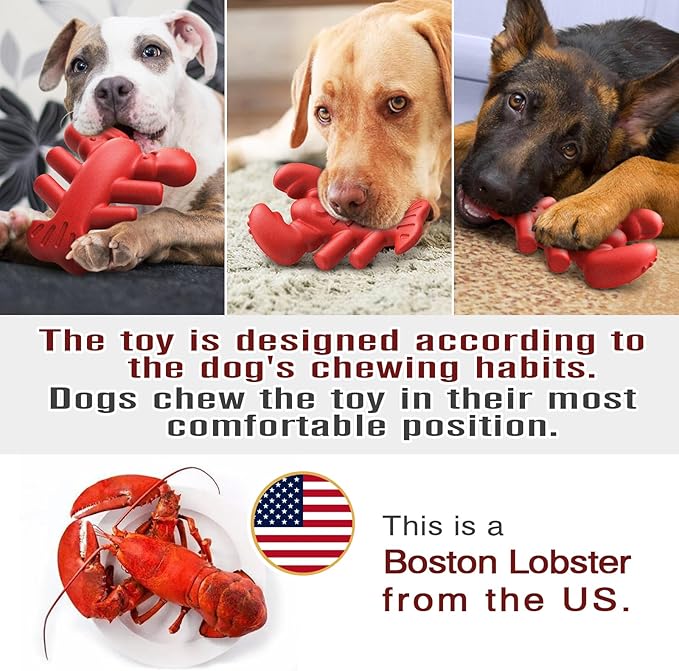 LiuMelinda Dog Chew Toys for Aggressive-Chewers - Indestructible Dog Toy for Aggressive Chewer，Tough Chew Toys for Dogs （Nylon Red-Lobster）