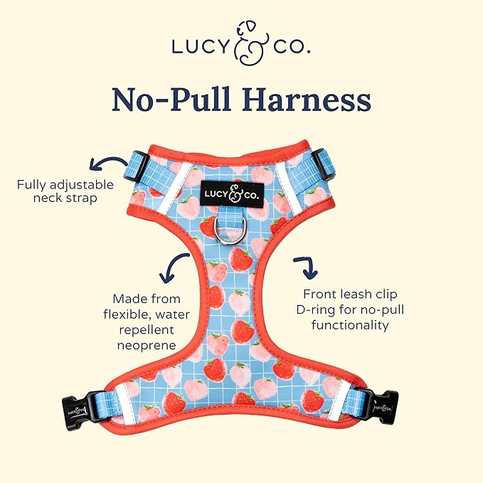 Lucy & Co. The Fresh Berries No-Pull Dog Harness - Size X-Small - Vest to Stop Pulling & Walk Easy - Comfortable Leash Training Product w/Adjustable Chest & Neck Straps