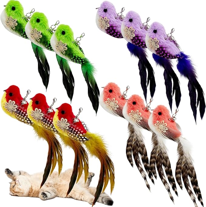 Cat Feather Toy Bird Refills, 12 Pieces Cat Wand Attachments Feather Bird Toy for Indoor Cats