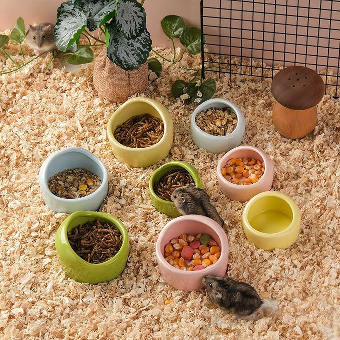 VanEnjoy 4 Pack Medium Hamster Food Bowl Ceramic Guinea Pig Food Dish No Spill Hamster Food and Water Bowl Small Animal Food Bowl for Chinchilla Hedgehog Hamster Gerbil - Pink Blue Yellow and Green