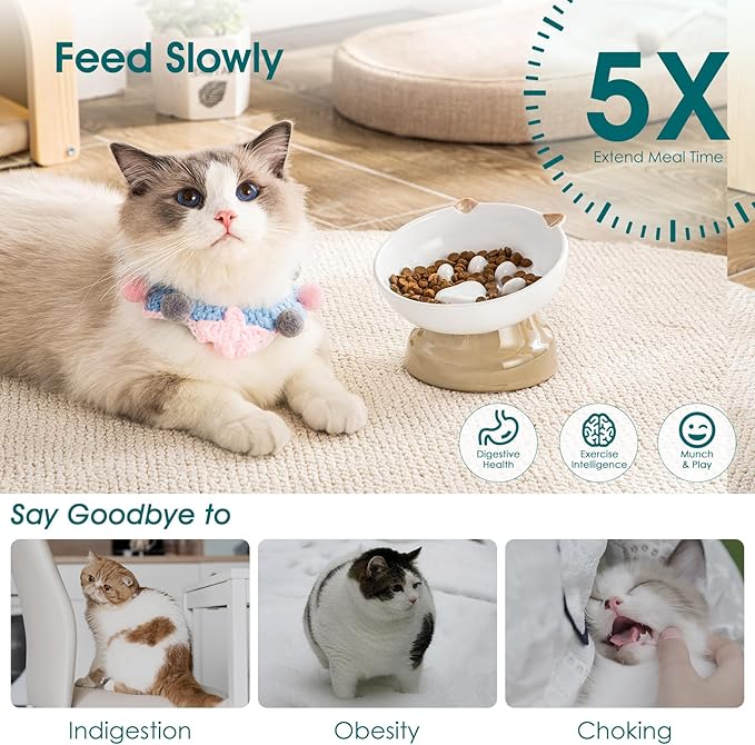 vancasso Raised Slow Feeder Cat Bowls, Ceramic Elevated Cat Bowls Wet Food, Cats Food Bowl Slow Feeder for Indoor Cats (Brown)