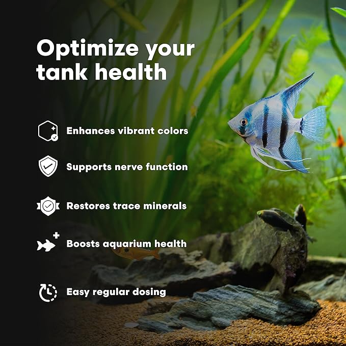 Brightwell Aquatics DiscusCōde Trace and Minor Element Supplement Supports Coloration Nerve Function Overall Health in Discus and Amazonian Freshwater Fish, 125 ml