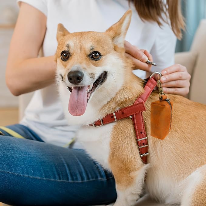 HIFA Genuine Leather Dog Leash Poop Bag Holder - Soft Touch Rustic Leather, Metal Clips, Easy Access to Pet Waste Bags - Outdoor Walking Dispenser