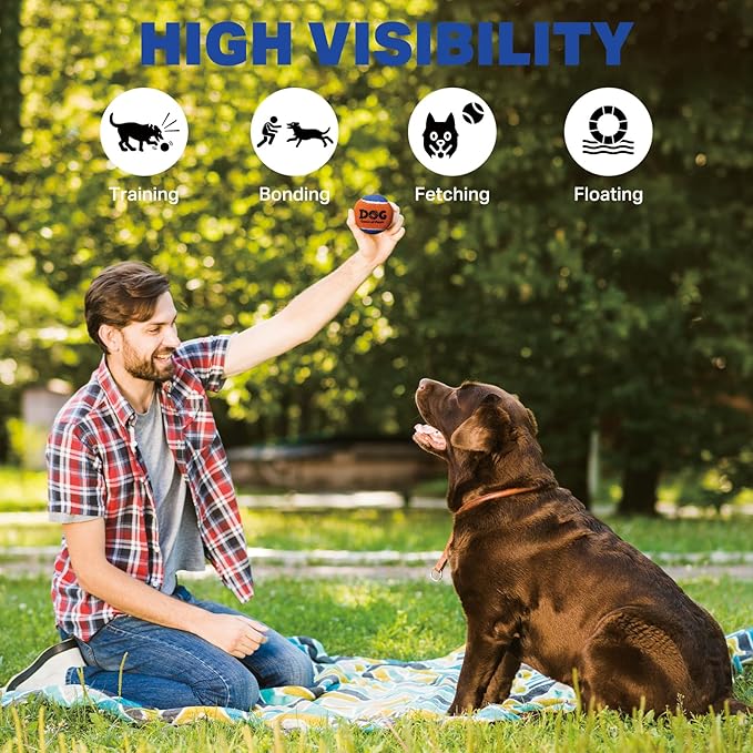 AMA SPORT Squeaky Tennis Balls for Dogs 2.5" Small Medium Dog Tennis Balls for Throwing and Fetching Dog Toys for Training, Exercise, High Bouncing 4 Pack (Orange Yellow)