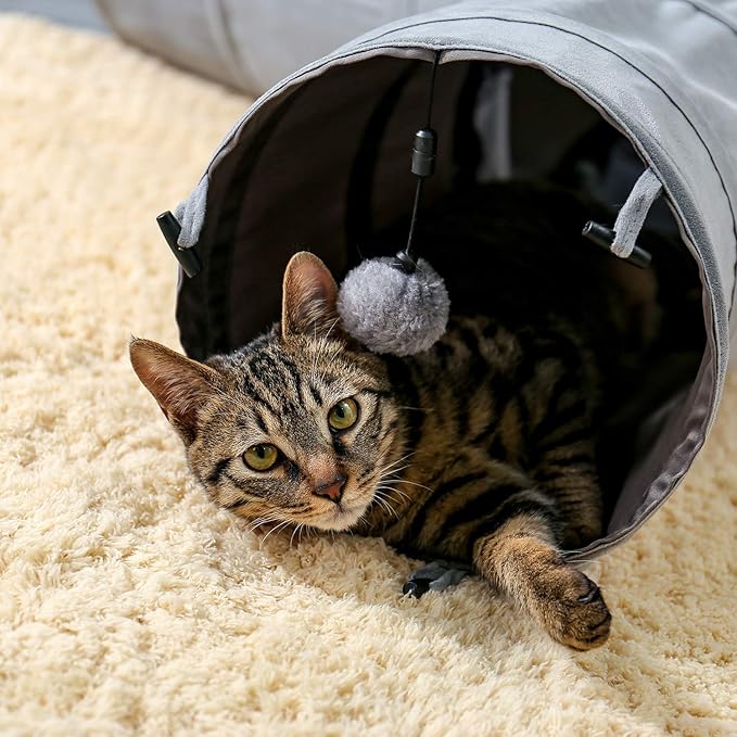 PAWZ Road Cat Tunnel Collapsible 3 Way Cat Play Tube 10.5 Inches in Diameter