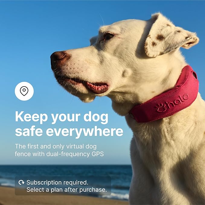 Halo Collar 4, All New GPS Wireless Dog Fence & Dog Training Collar with GPS Tracker, Subscription Required, Waterproof, One Size, Graphite