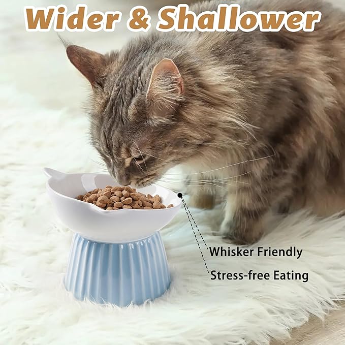 Ceramic Raised Cat Bowl，Tilted Raised Bowl Anti Vomit Bowls for Indoor Cats Whisker Friendly Pet Feeder for Cats Puppies, Microwave and Dishwasher Safe