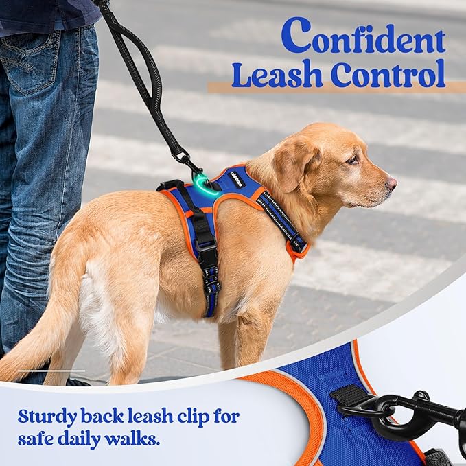 rabbitgoo Dog Harness No Pull with 2 Leash Clips, Adjustable Soft Padded, Reflective Oxford No Choke Pet Vest with Easy Control Handle for Large Dogs, Blue & Orange, L
