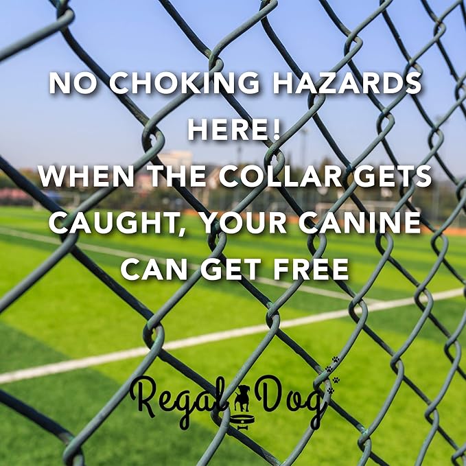 Regal Dog Products Medium Yellow Heavy Duty Reflective Dog Collar with Durable Metal Buckle and D Ring Adjustable, Chew Proof & Waterproof Center Ring | Strong Small Dog Collar