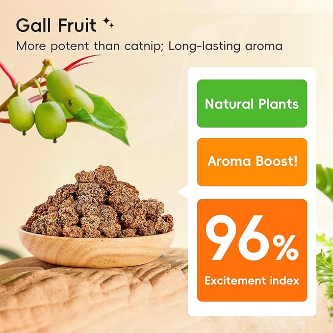 Potaroma Natural Catnip Silvervine Gall Fruit Cat Toys Set with Plush Shell, Organic Kitten Toys for Relaxing and Teething, Interactive Cat Kicker Set (2.2" Dia Tubes)