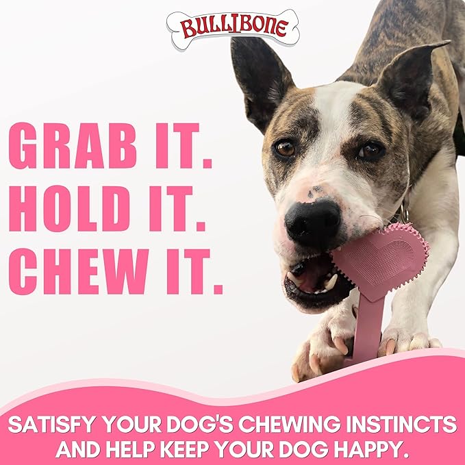 Bullibone Nylon Dog Chew Toy Nylon Bone - Improves Dental Hygiene, Easy to Grip Bottom, and Permeated with Flavor (Peppermint, Large - 3 Pack)