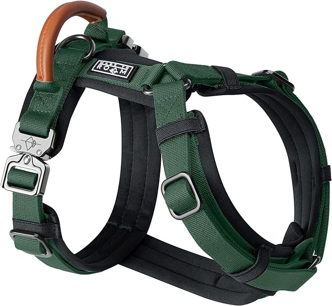 MADE TO ROAM Premium Explorer Harness - Y-Shaped Dog Harness with Adjustable Durable Nylon, Soft Padding, Metal Buckles and Leather Handle for Small, Medium, Large Dogs (Maine Marina, Size 1)