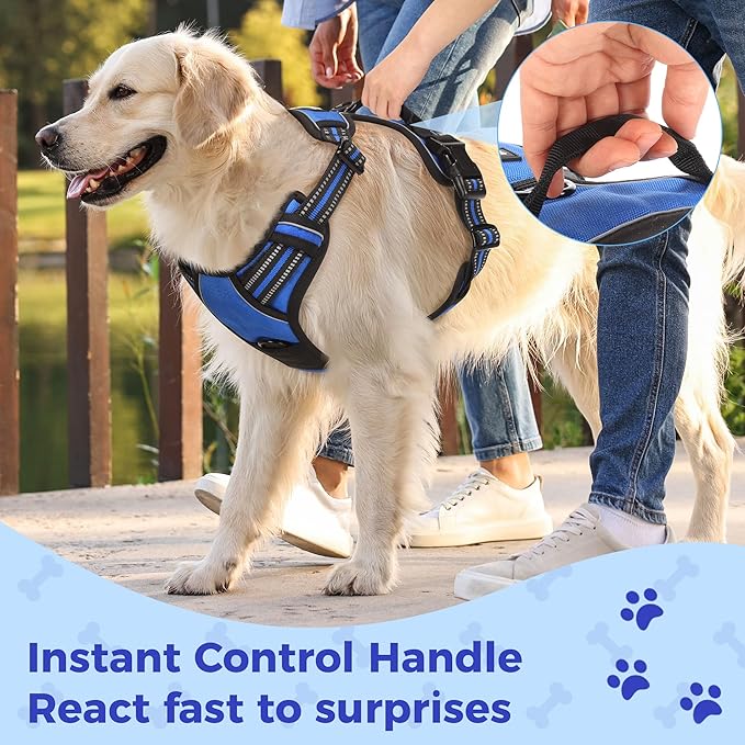 Funfox Dog Harness No Pull, Adjustable Pet Vest Harness Blue S with Handle, 2 Leash Clips for Daily Walking Easy Control, Soft Durable Reflective Comfortable for Small Sized Dogs