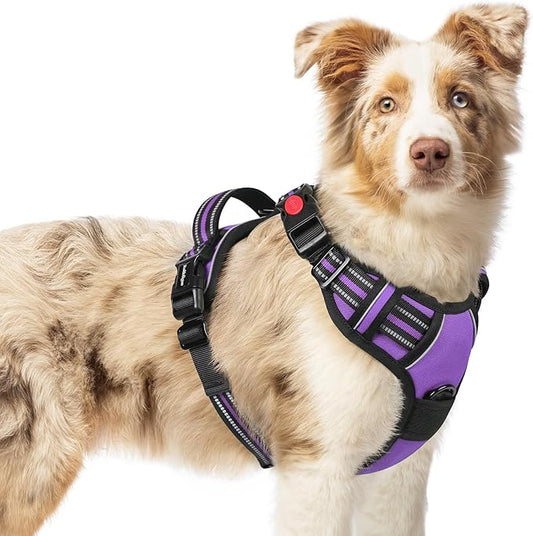 rabbitgoo Dog Harness Medium Sized, No Pull Pet Harness with 3 Buckles, Adjustable Soft Padded Vest with Control Handle, Walking Reflective Pet Vest for Medium Dogs, Purple, M