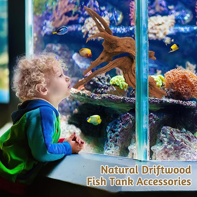 kathson Natural Driftwood for Aquarium Decor, 3-Piece 9''-15'' Large Driftwood for Decorations on Fish Tank, Reptiles Bearded Dragon Terrarium Ornament Accessories or Air Plants