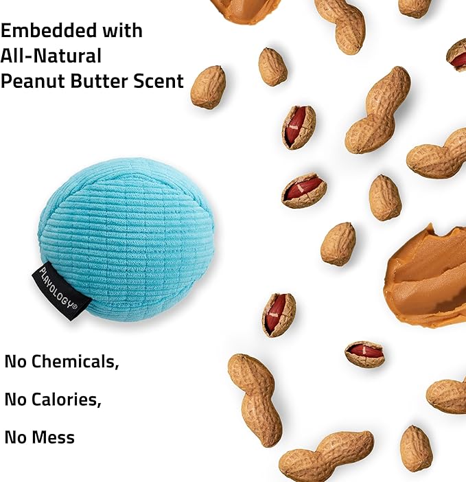 Playology Dog Toys | Squeaky Plush Toy Ball for Dogs | Jumbo Peanut Butter Scented Toy - Easy to Clean and Made from Non Toxic Materials