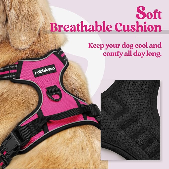 rabbitgoo Dog Harness No Pull with 2 Leash Clips, Adjustable Soft Padded, Reflective Oxford No Choke Pet Vest with Easy Control Handle for Large Dogs, Hot Pink, XL