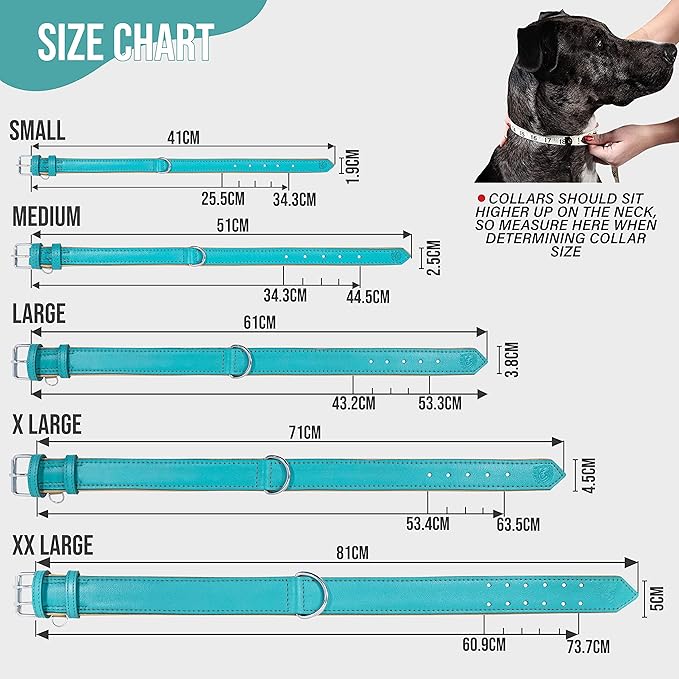 Riparo Adjustable Leather Dog Collar - Heavy Duty Wide Dog Collar for Small, Medium, Large and Extra Large Dogs with Dog Tag Holder (L: 1.5" Wide for 17"-21" Neck, Aqua)