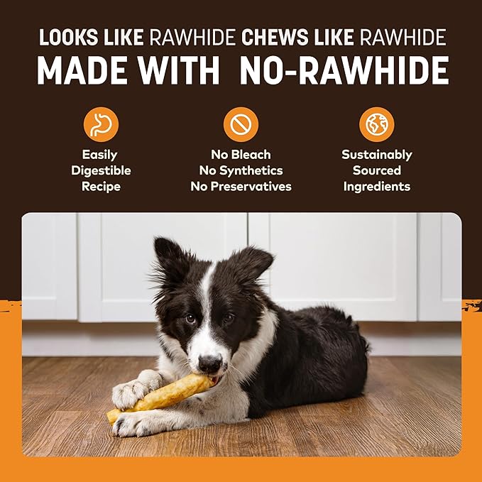 Earth Animal No Hide Medium Chicken Flavored Natural Rawhide Free Dog Chews Long Lasting Chew Sticks | Treats for Large Dogs | Great for Aggressive Chewers - 6 Count